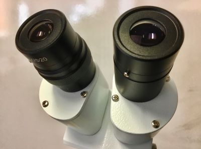 Laboratory Microscopes